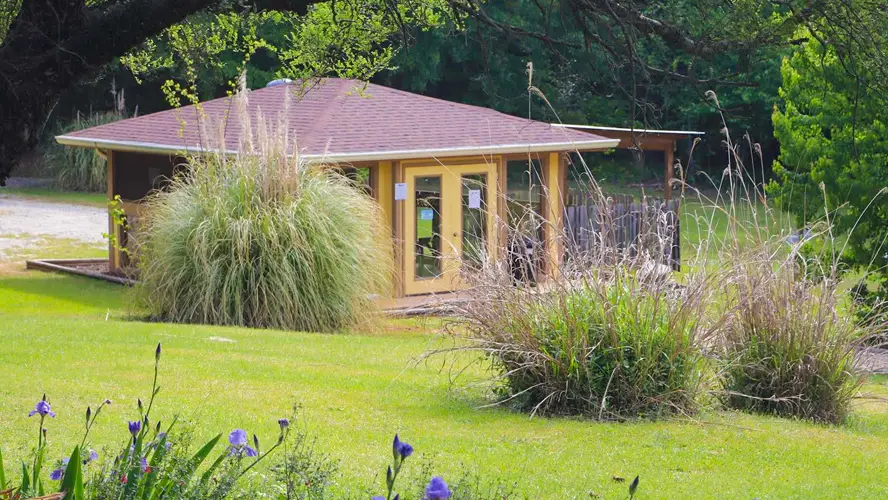 Hot tub is located right next to the pool.